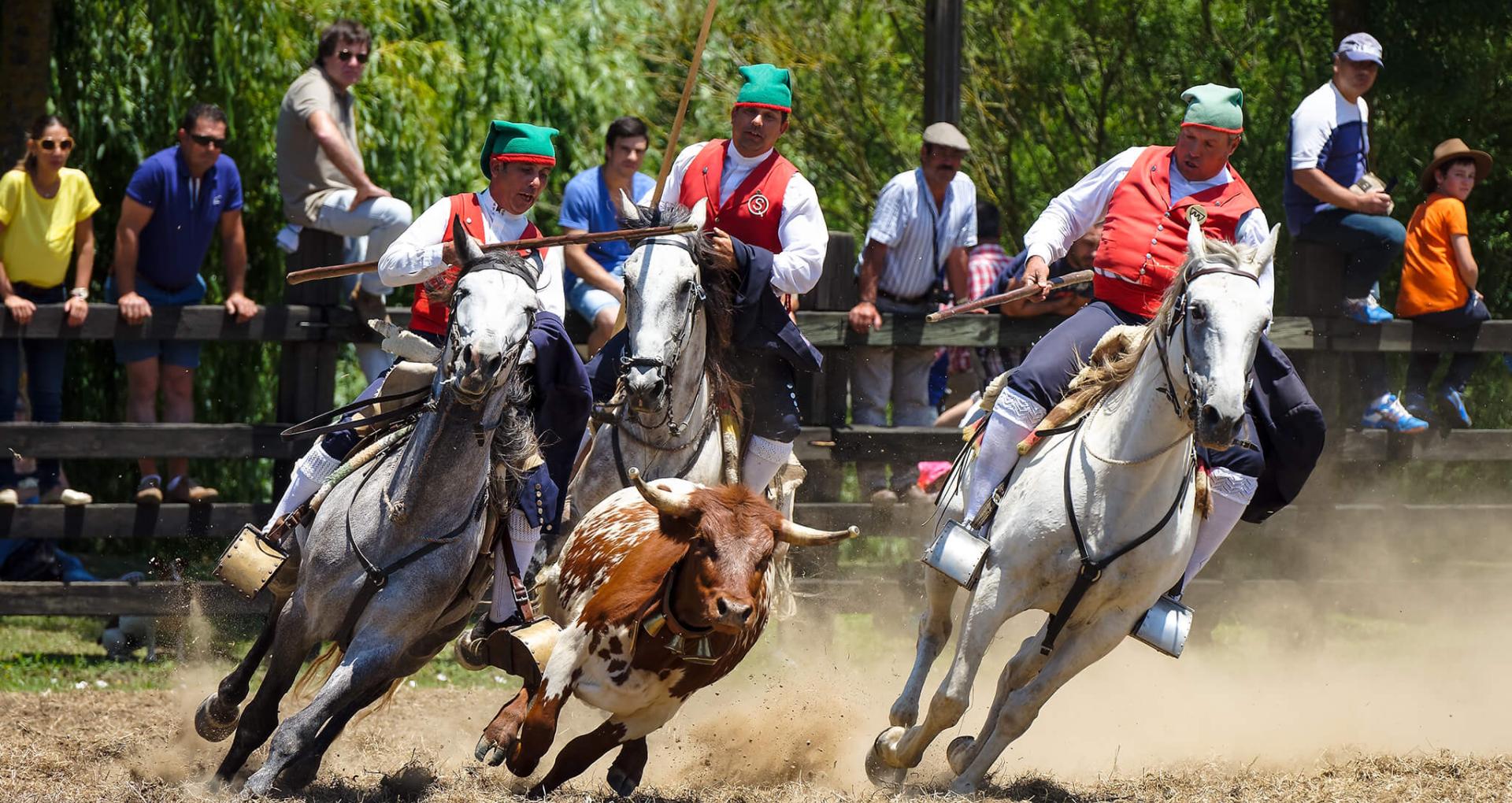 Campinos, ribatejo